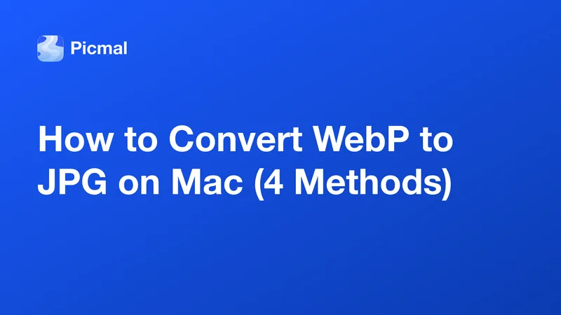 How to Convert WebP to JPG on Mac (4 Methods)
