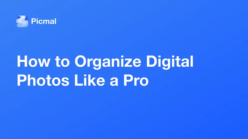 How to Organize Digital Photos Like a Pro