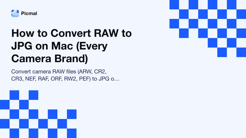 How to Convert RAW to JPG on Mac (Every Camera Brand)