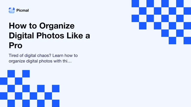How to Organize Digital Photos Like a Pro