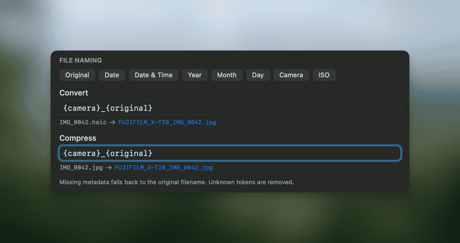 File naming settings with EXIF token pattern and live preview