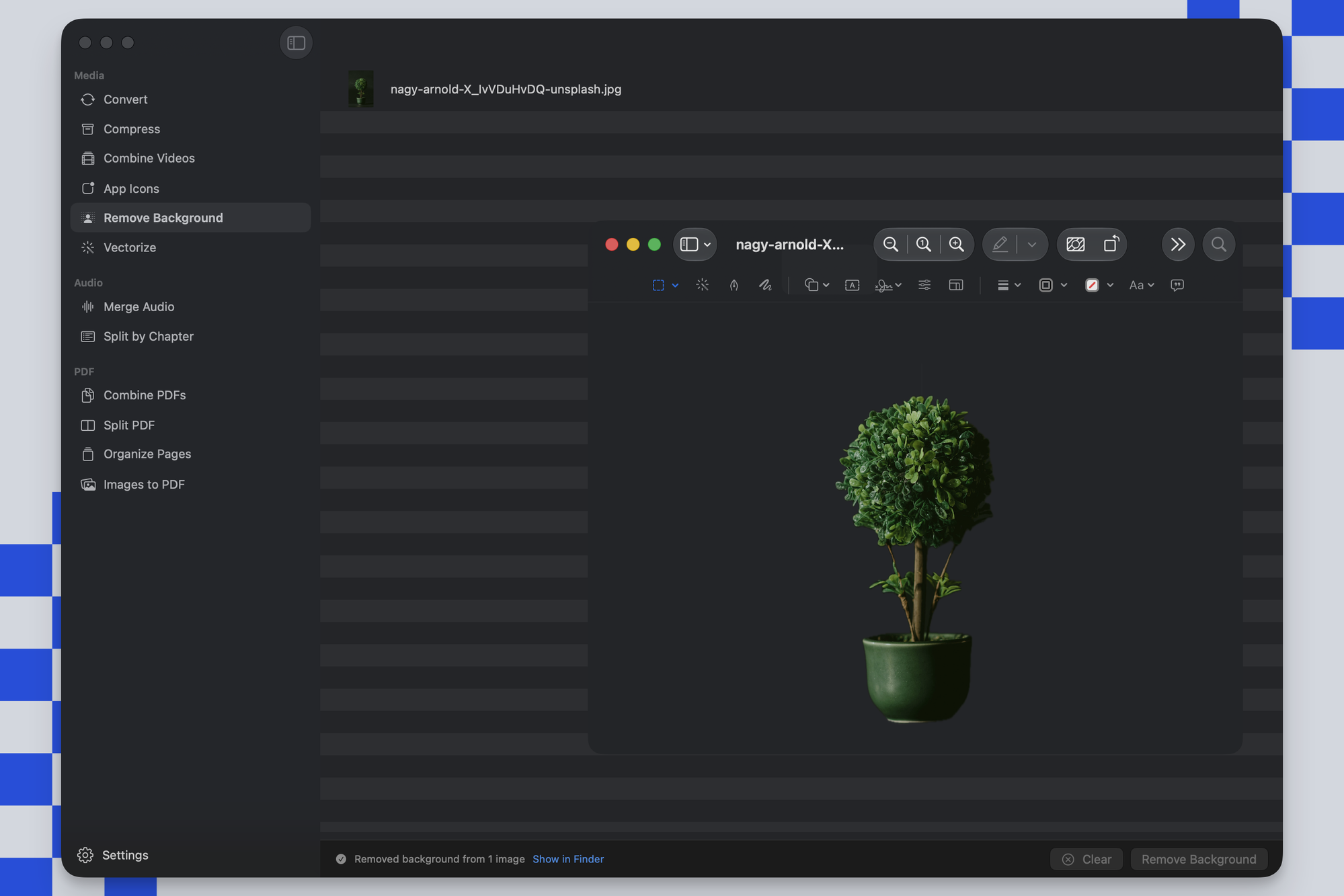 The Remove Background tool in Picmal: a potted plant lifted off its background onto a transparent PNG, previewed in Quick Look, with the status bar reading "Removed background from 1 image"